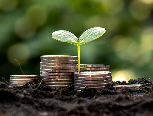 Superannuation and SMSF advice, Geelong